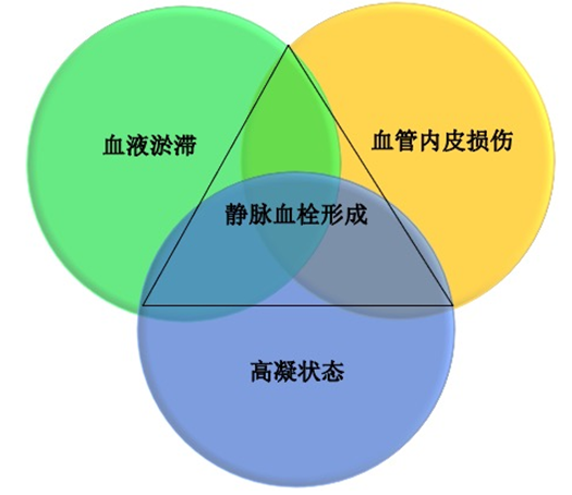 沉默殺手 VTE，如何進(jìn)行抗凝治療？三問搞懂