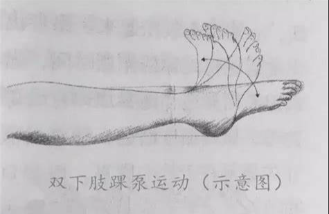 長途旅行 快樂相伴 健康相隨