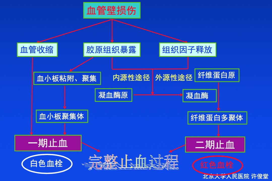 血栓形成，三個要素細分說